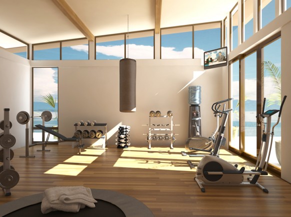 Home Gym Design Tips and Pictures
