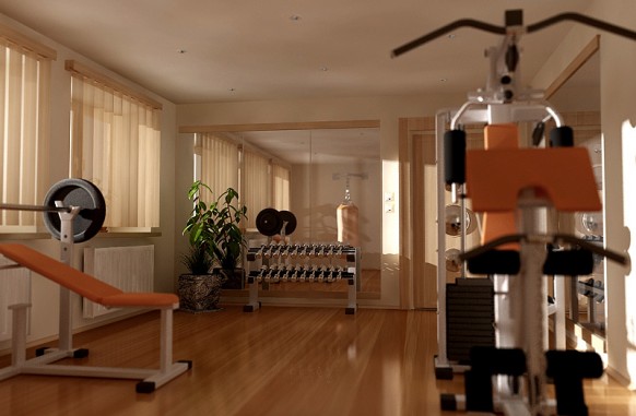 Home Gym Design Tips and Pictures